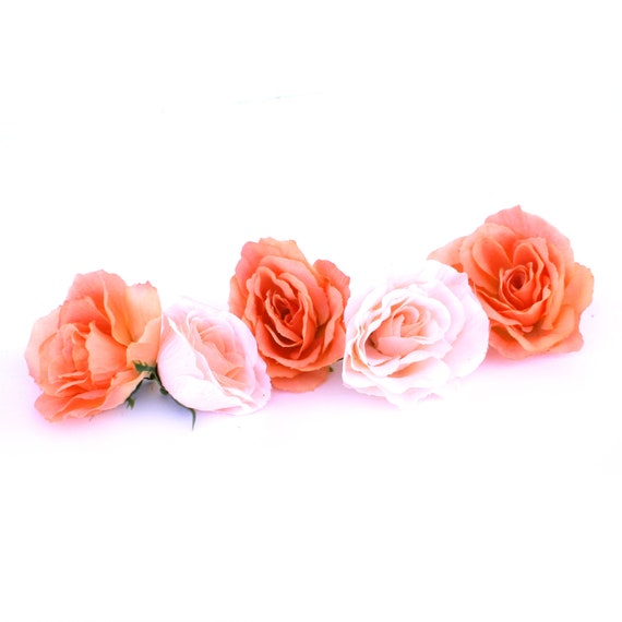 Free Free Flower Svgz SVG PNG EPS DXF File