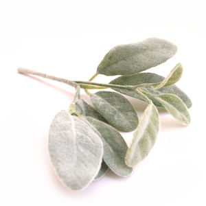 Lambs Ear Pick - Floral Filler, Artificial Greenery