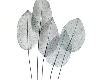 5 BLUE GRAY Lucency Leaves with Natural Vein - Artificial Leaves, Silk Leaves