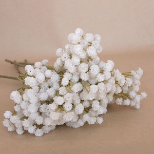 3 Cream White Gypsophila Baby's Breath Stems - Floral Filler - PRE-ORDER