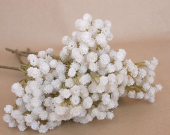 3 Cream White Gypsophila Baby's Breath Stems - Floral Filler - PRE-ORDER