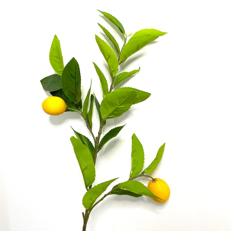 Lemon Tree Branch Artificial Floral Stems Etsy