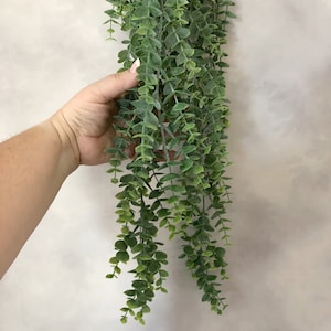 Buisson d’eucalyptus vert suspendu - 31 pouces - Fausse plante - Plantes artificielles - PRÉ-COMMANDE