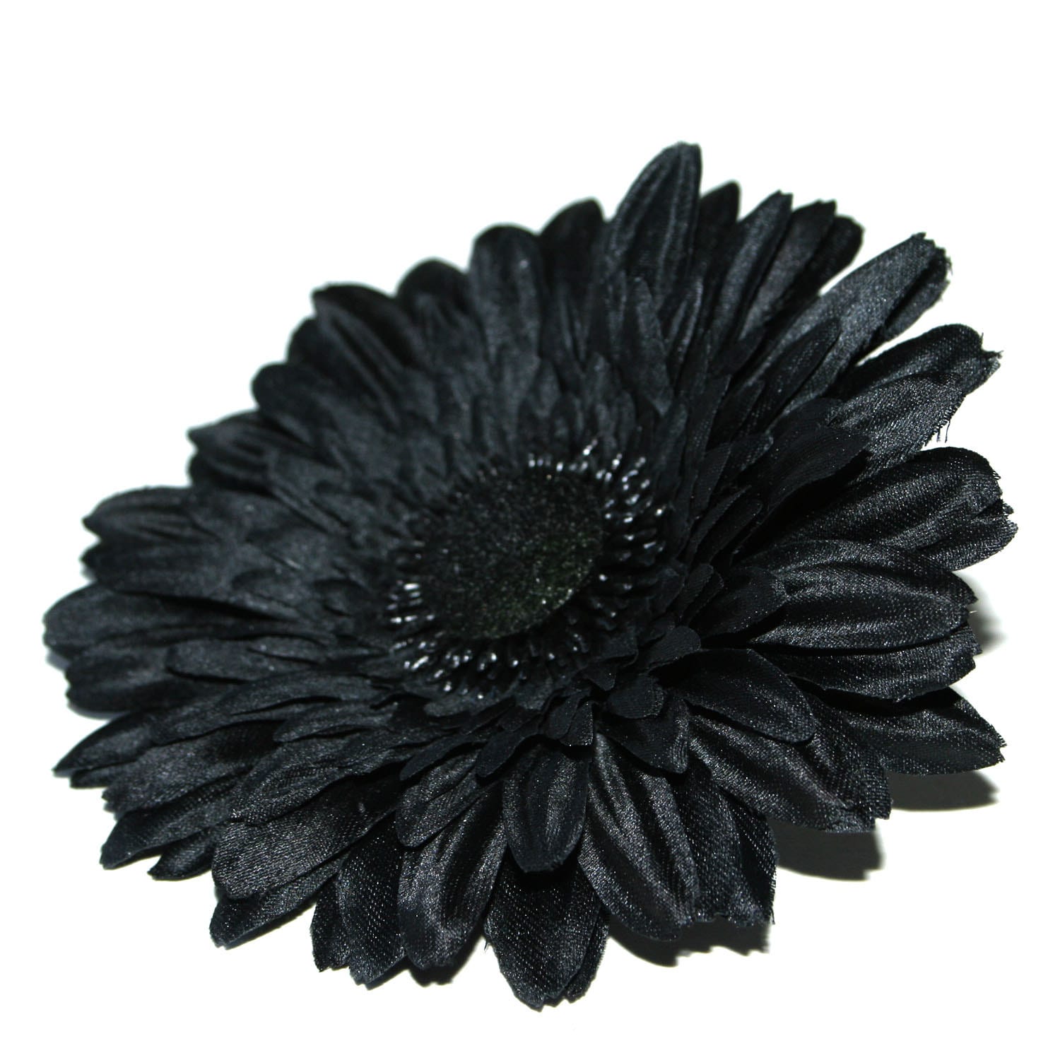 小物 pantydropper Dry flower Black 小物 pantydropper Dry flower Black EYE WEAR【Dry Flower】BLACK