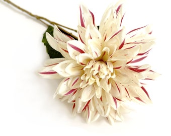 Cream and Dark Pink Dinner Plate Dahlia - Artificial Flower, Silk Flower - Available with Stem - 25 inches