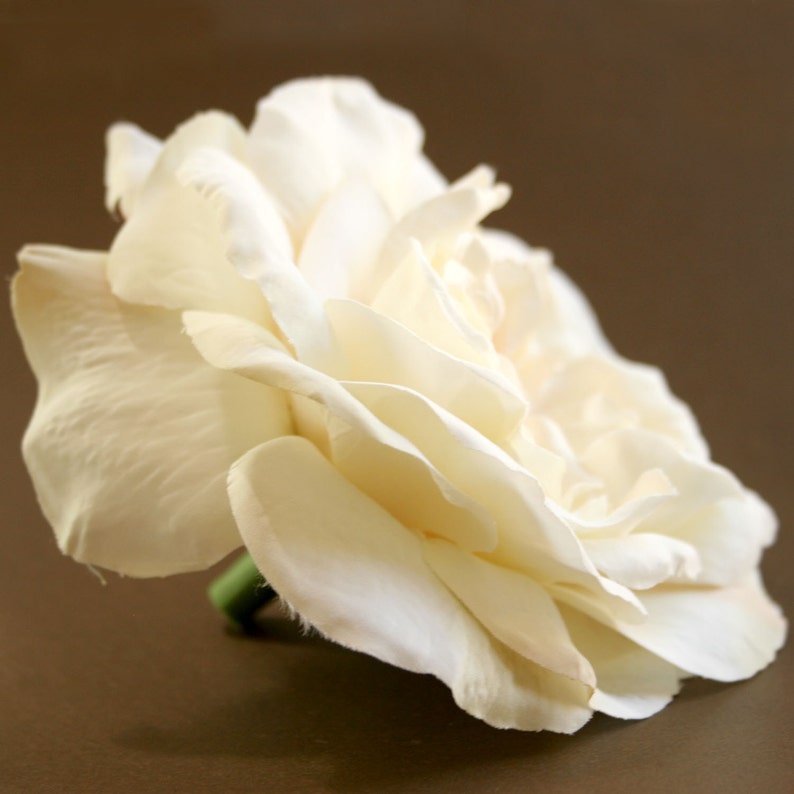 1 Large Cream Sophia Rose Peach Accents Artificial Flower PRE-ORDER With or Without Stem image 4