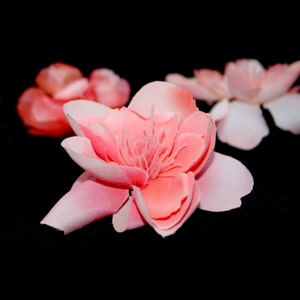 May include: Three pink silk flowers with a white center on a black background.