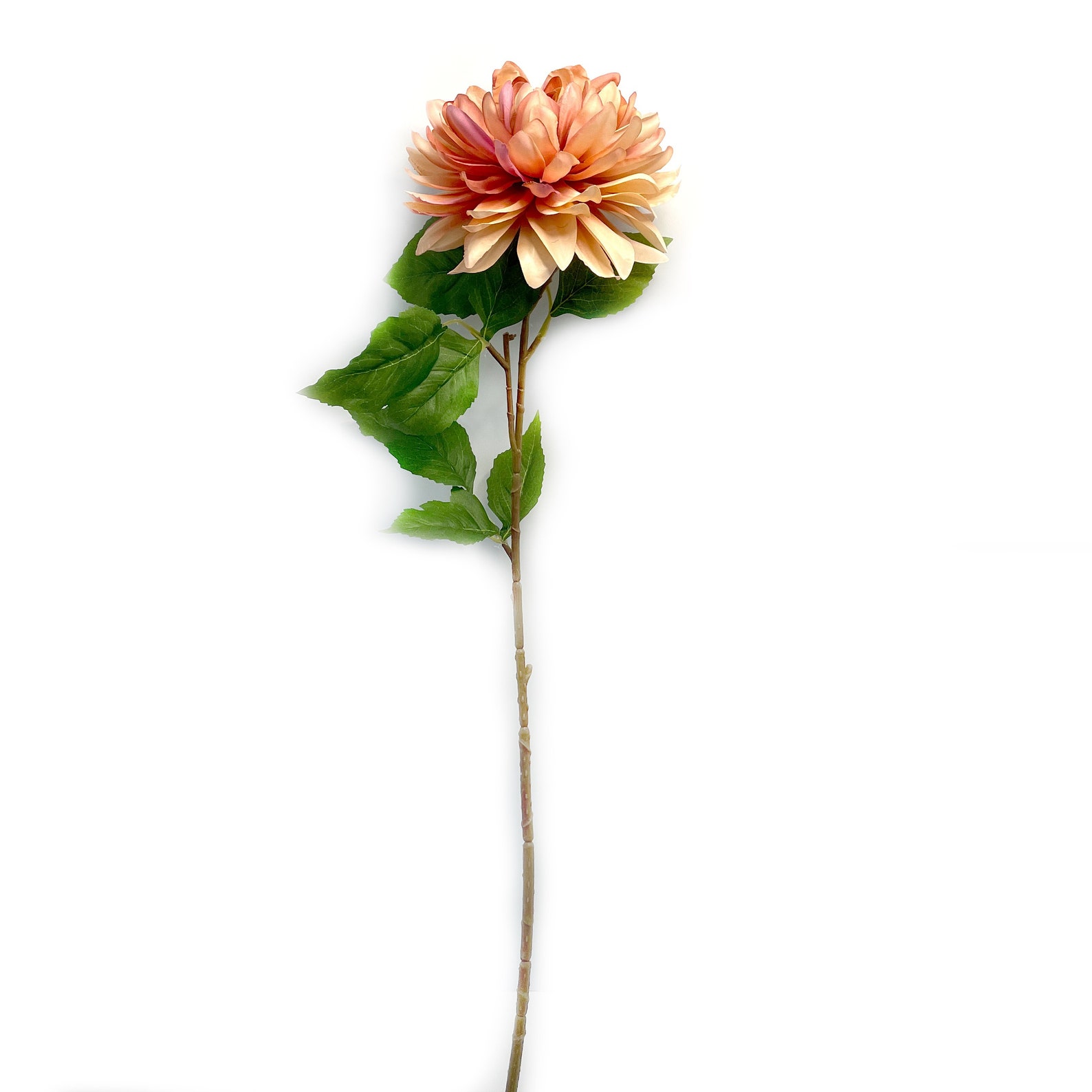Peach Pink Dinner Plate Dahlia - Artificial Flower, Silk Flower ...