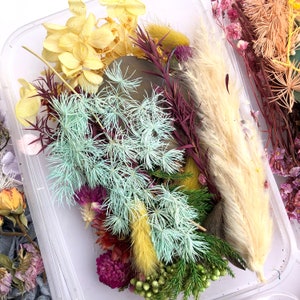 Pu&ograve; includere: Una collezione di fiori e foglie secche in un contenitore di plastica trasparente. I fiori includono fiori gialli, bianchi e rosa, insieme a foglie verdi e marroni. Il contenitore &egrave; pieno di una variet&agrave; di trame e colori, creando un arrangiamento visivamente accattivante.