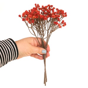 May include: A bouquet of dried flowers with small, orange-red blossoms and brown stems.