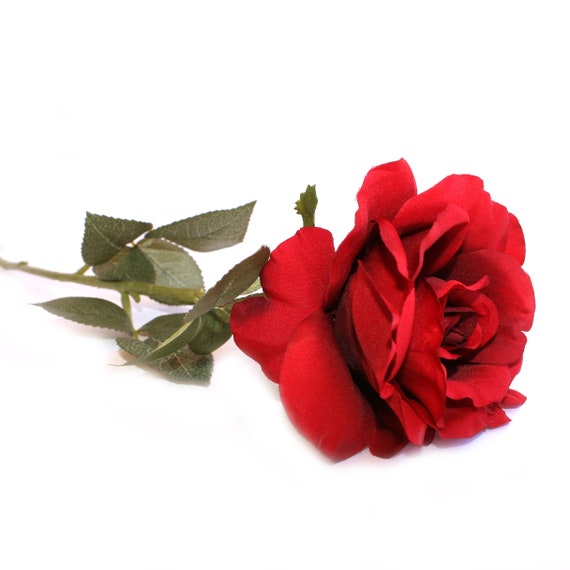 Red 2024 flowers fake