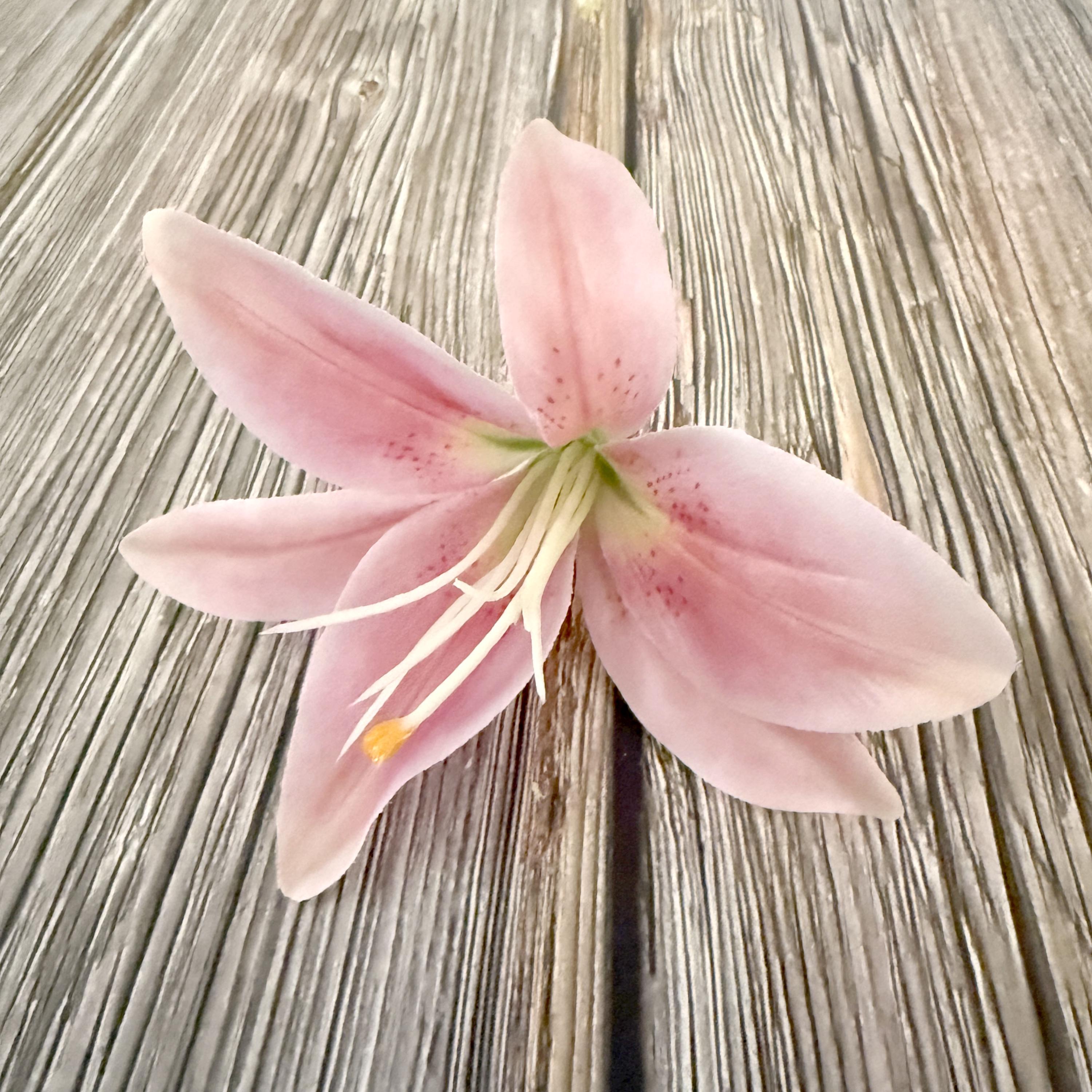 【lily_Sa】 Pink Casablanca Lily - Easter Flowers - With or Without Long