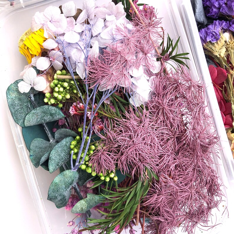 Pu&ograve; includere: Una collezione di fiori e foglie secche in un contenitore di plastica trasparente. I fiori includono ortensie bianche, fiori rosa e viola e foglie verdi.
