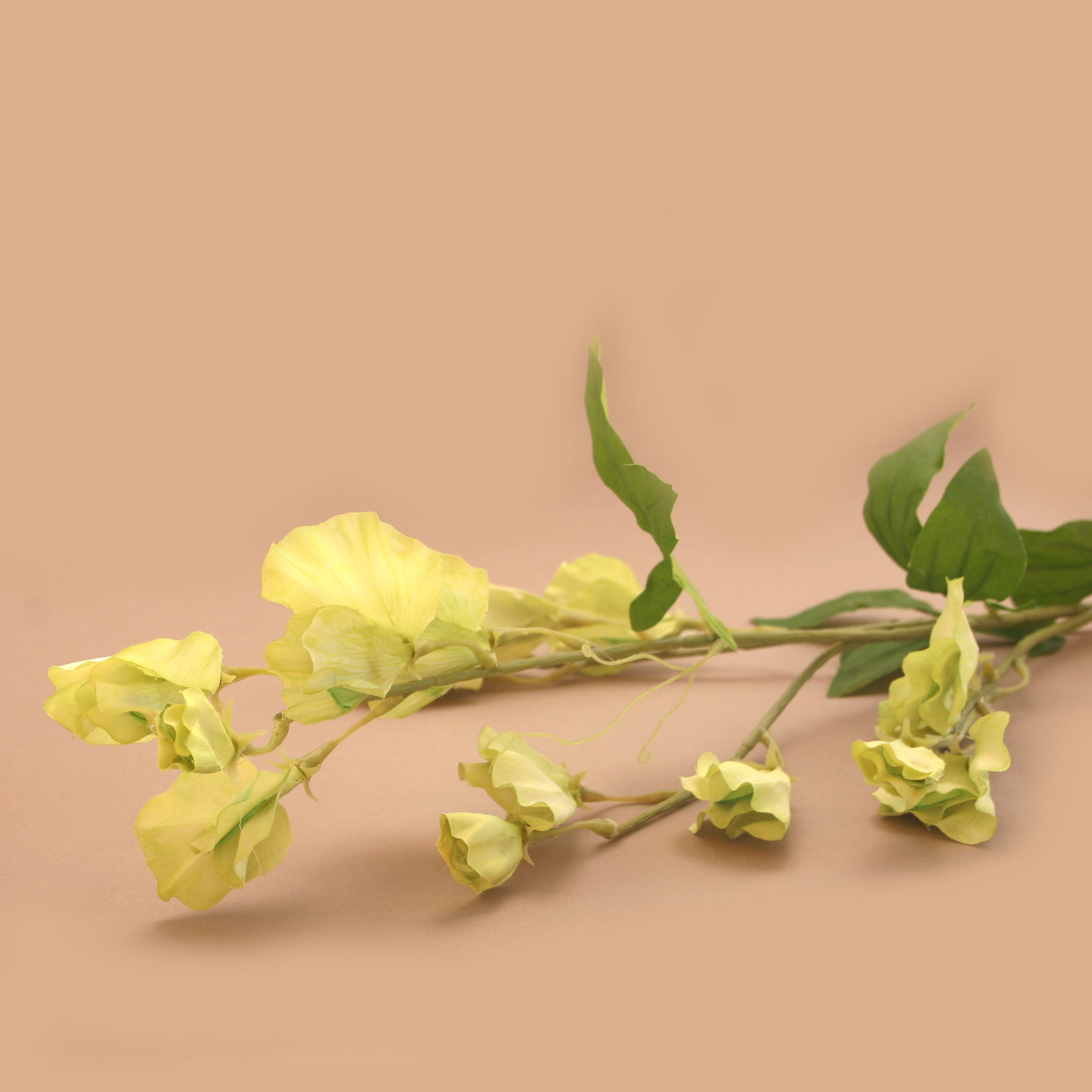 Light Green Sweet Pea Branch Silk Flowers Artificial Etsy