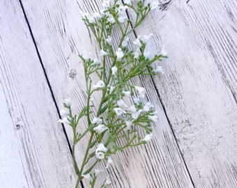 Witte gipskruidprikker - PRE-ORDER