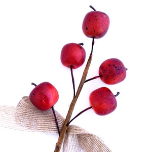 May include: A twig with five red apples with brown spots, tied with a brown burlap ribbon.
