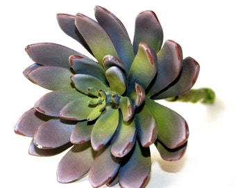 Faux Succulent in Purple and Green - Artificial Succulents- Echeveria