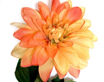May include: A single orange and yellow dahlia flower with green leaves. The flower is in full bloom and has many petals.