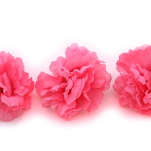 3  Bubblegum Pink Bargain Carnations
