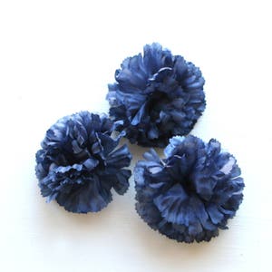 May include: Three blue carnation flowers with ruffled petals.