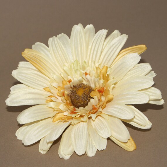 10 x Gerbera crème fleurs têtes ART FLEURS-soie fleurs