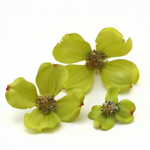 3 Light Green Dogwood Blossoms Artificial Flowers Silk Etsy
