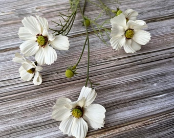 CREAM WHITE Cosmo Branch  - Artificial Flowers, Silk Flowers