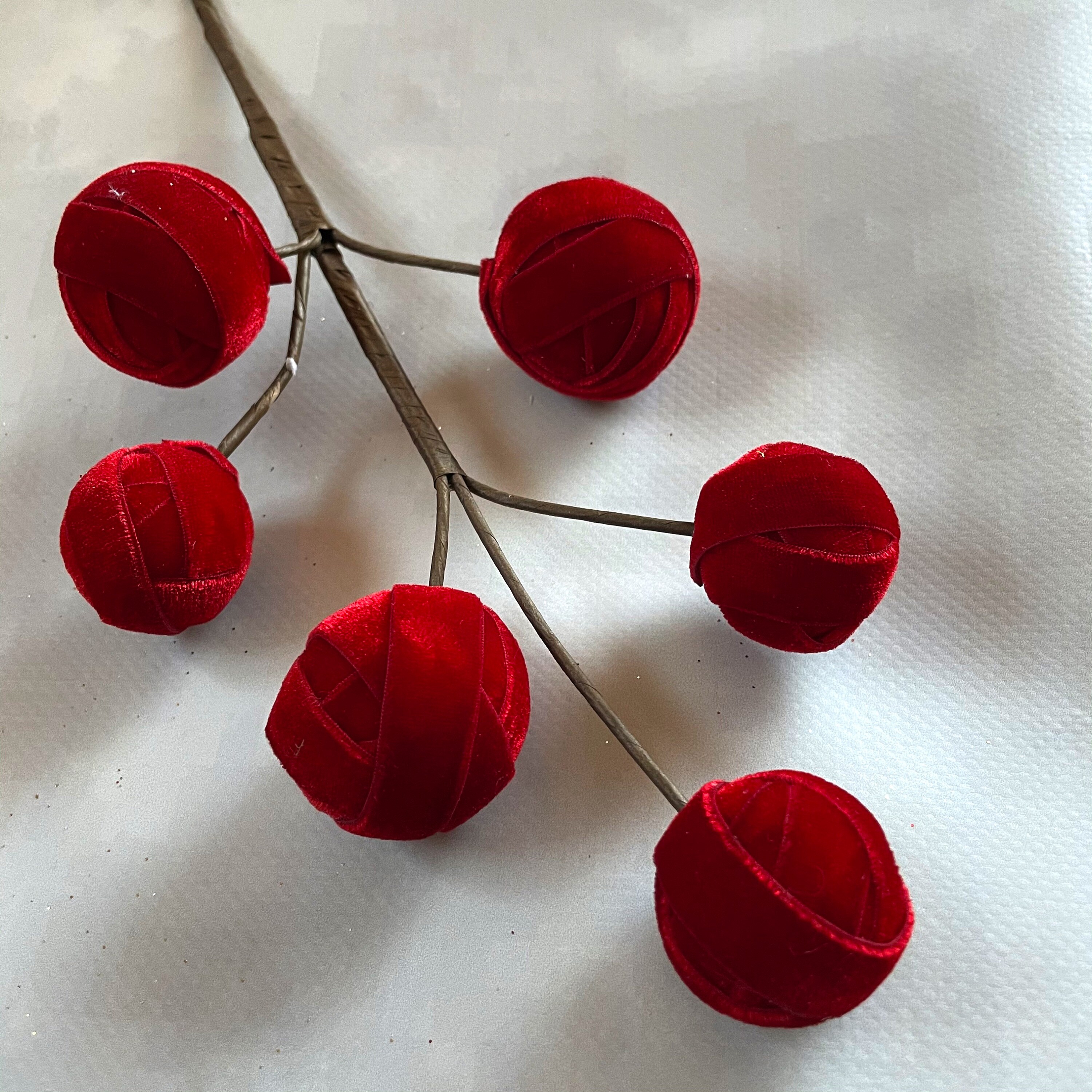 50 Thorn Branches, Dried Rose Stems for Vases and Home Decor