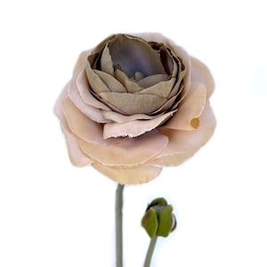 Beige Ranonkel - Kunstbloemen - PRE-ORDER