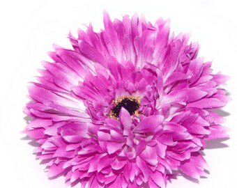 May include: A single pink gerbera daisy with a dark center. The flower is in full bloom and has a white center.