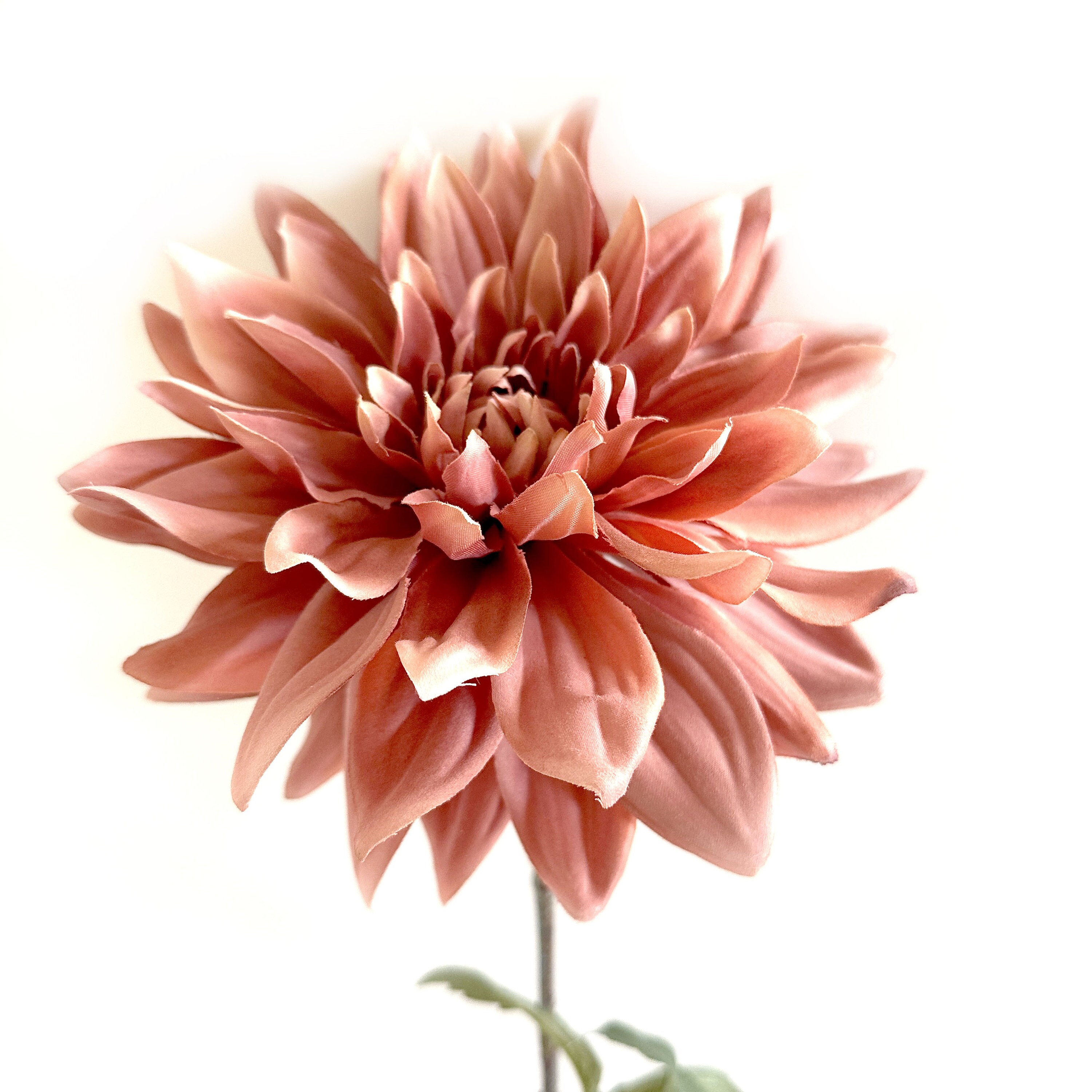 Boutique Antique Pink Dinner Plate Dahlia - Artificial Flower, Silk ...