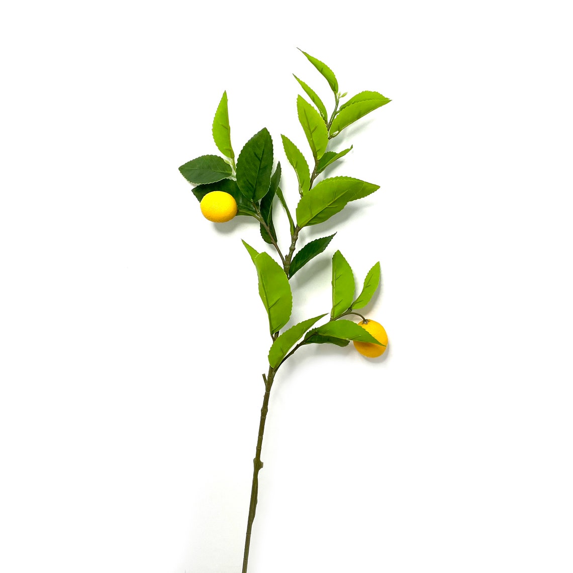 Lemon Tree Branch Artificial Floral Stems Etsy
