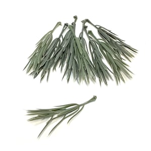 10 Pieces Sage Podocarpus Branches - Faux Succulent - Artificial Succulents