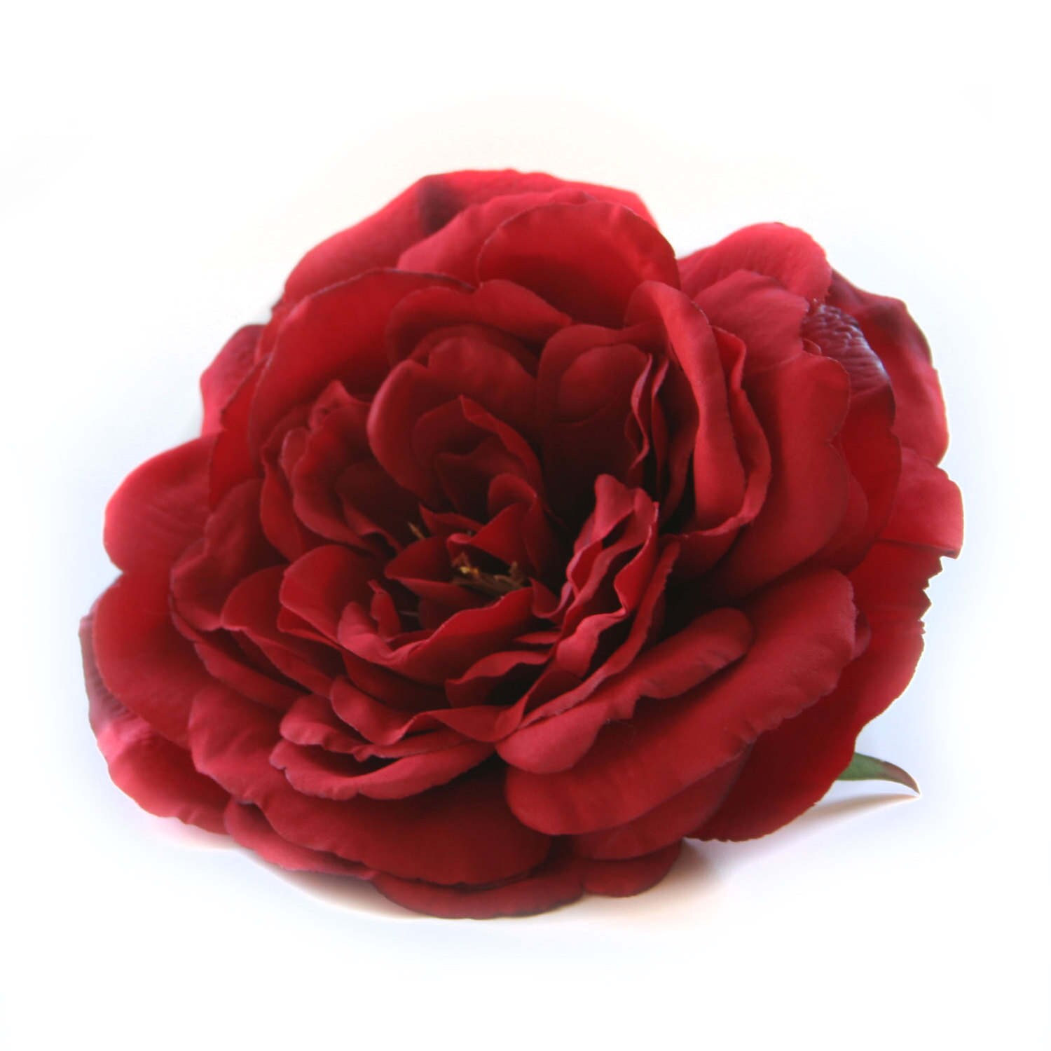 1 Large Deep Red Sophia Rose Silk Flowers Artificial Etsy