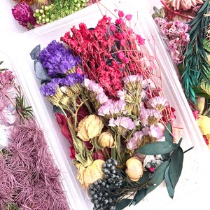 Pu&ograve; includere: Una collezione di fiori e foglie secche in varie tonalit&agrave; di rosa, viola e verde. I fiori sono disposti in un contenitore di plastica trasparente, e il fogliame &egrave; sparso intorno ai fiori. I fiori sono pressati e hanno un aspetto delicato e secco.