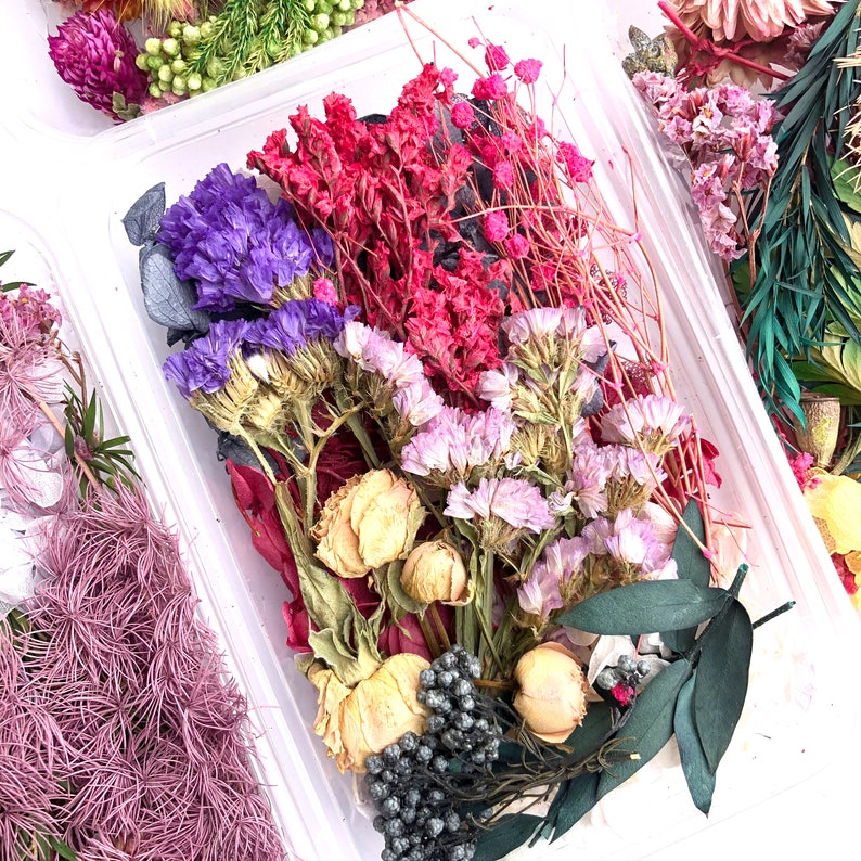 Pu&ograve; includere: Una collezione di fiori e foglie secche in varie tonalit&agrave; di rosa, viola e verde. I fiori sono disposti in un contenitore di plastica trasparente, e il fogliame &egrave; sparso intorno ai fiori. I fiori sono pressati e hanno un aspetto delicato e secco.