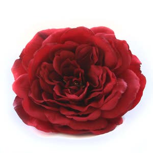 1 Large Deep Red Sophia Rose - Silk Flowers, Artificial Flowers PRE-ORDER - With or Without Stem