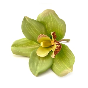 Apple Green Cymbidium Orchid Bloom - Artificial Flowers, Blossoms, Silk Flowers