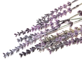 9 Lavender Sprigs - Artificial Flowers - PRE-ORDER