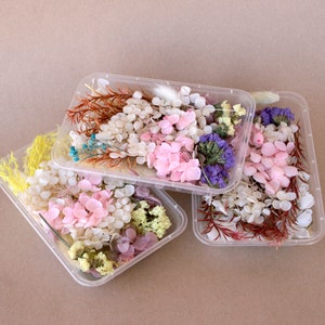 Pu&ograve; includere: Tre contenitori di plastica trasparente pieni di fiori e foglie secche. I contenitori sono impilati uno sopra l'altro. I fiori sono di vari colori, tra cui rosa, bianco, viola e verde.