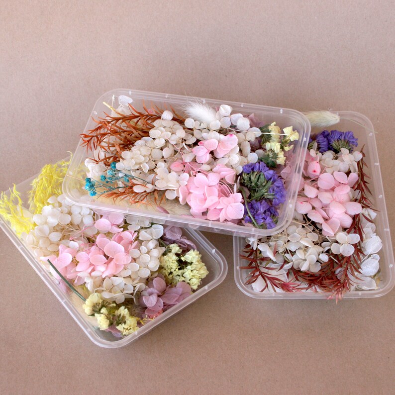 Pu&ograve; includere: Tre contenitori di plastica trasparente pieni di fiori e foglie secche. I contenitori sono impilati uno sopra l'altro. I fiori sono di vari colori, tra cui rosa, bianco, viola e verde.