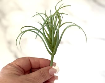 Artificial Airplant Pick - Artificial Succulents