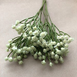 3 Cream Green Gypsophila Baby&#39;s Breath Stems - Floral Filler - PRE-ORDER