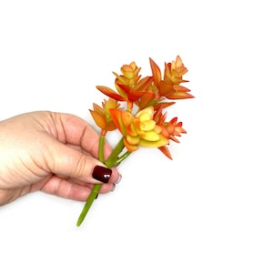 Artificial Graptosedium Succulent Pick with 7 Sedum Flowers - Artificial Succulents - PRE-ORDER