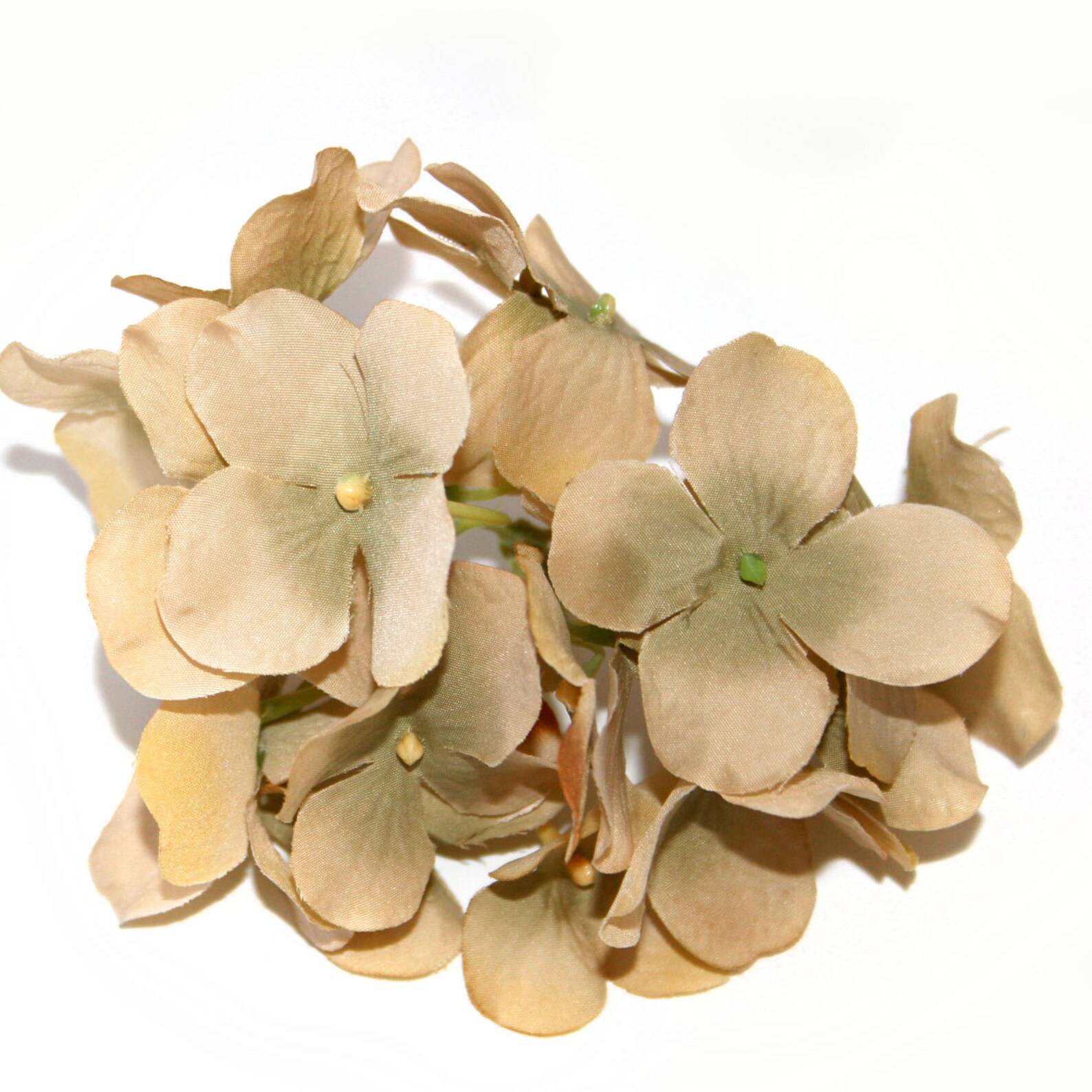 1 Beige Hydrangea Bunch - Small Head - Artificial Flowers, Blossoms ...