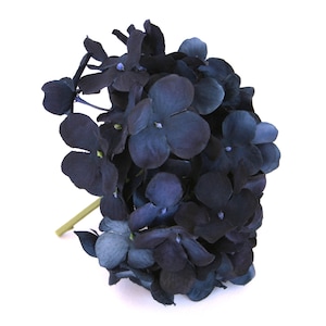 Pode incluir: Um ramo de hortênsias azuis escuras com um caule verde. As flores estão dispostas em um cacho e têm uma textura macia e aveludada.