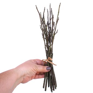 15 Multi-connector Stems for DIY Bouquets
