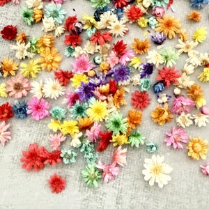 May include: A collection of dried flowers in various colors, including red, yellow, pink, and purple. The flowers are scattered across a light gray surface, creating a vibrant and natural display. The image showcases a variety of flower types and sizes.