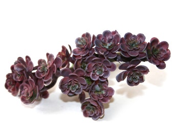 Artificial Mini Succulent Sedum Pick with 19 Mini Succulents in Purple and Green - Artificial Succulents-