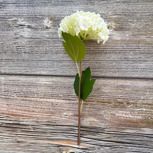 Cream Snowball Hydrangea Head Pick - Small Petals, Artificial Flowers, Silk Flowers - 3 inch head
